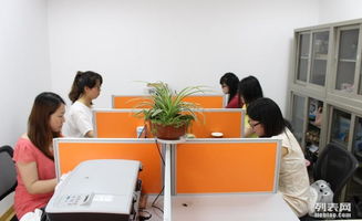 軟硬件開發(fā)職場(chǎng)生存法則 從技能精進(jìn)到職業(yè)發(fā)展的全面指南