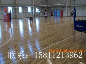 籃球?qū)Ｓ媚镜匕暹x購(gòu)指南 廠家、價(jià)格與性能全面解析